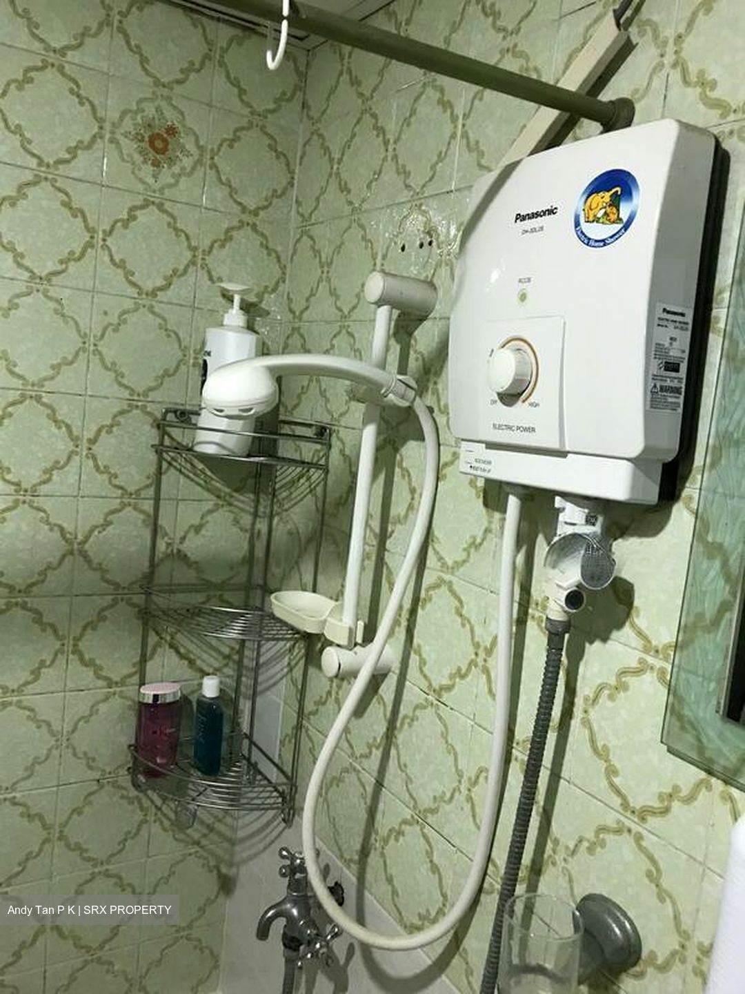 Pandan Valley (D21), Condominium #497129901